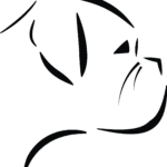 Logo Zetabox
