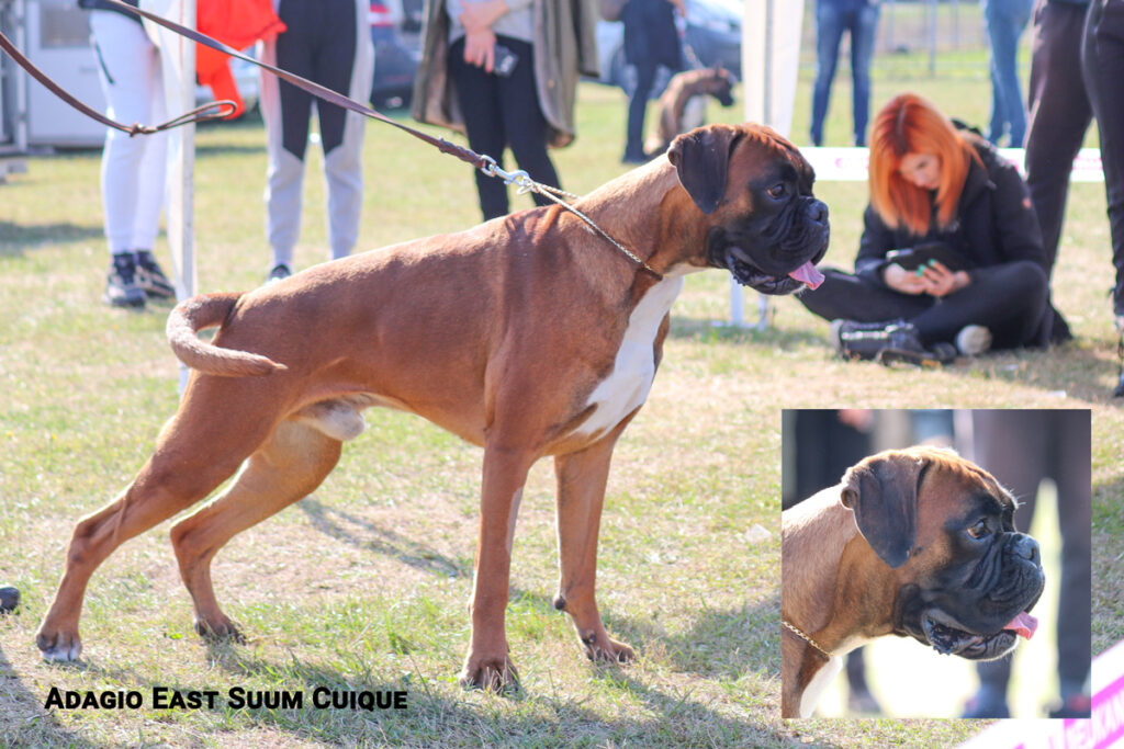 Adagio East Suum Cuique