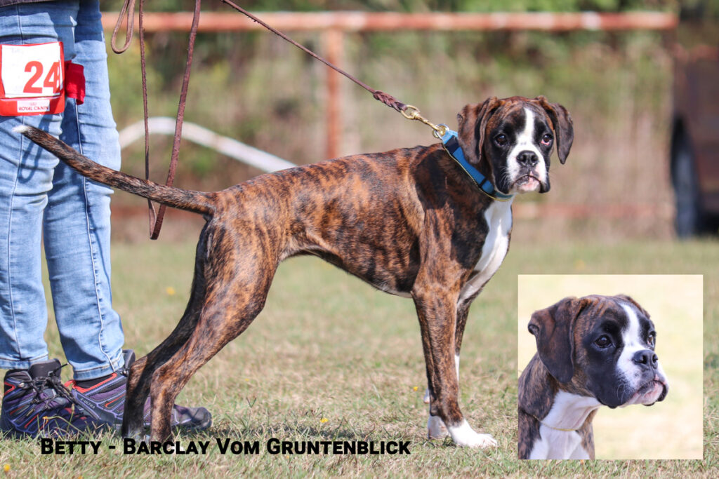 Betty Barclay Vom Gruntenblick