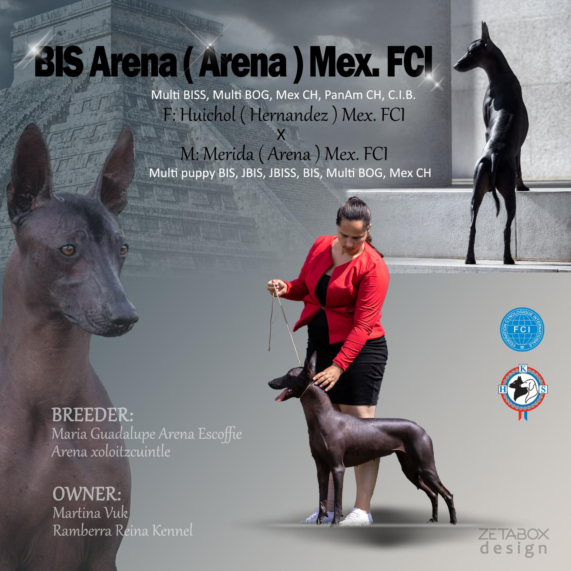 Martina Vuk – Arena – konačno 1 BIS Arena (Arena) Mex. FCI flajer sive boje sa psom i djevojkom u crvenom sakou