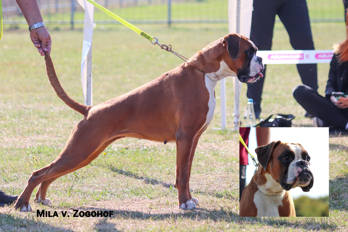 Mila v. Zogohof