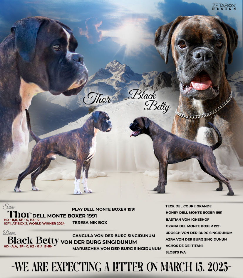 Thor i Black Betty najava legla