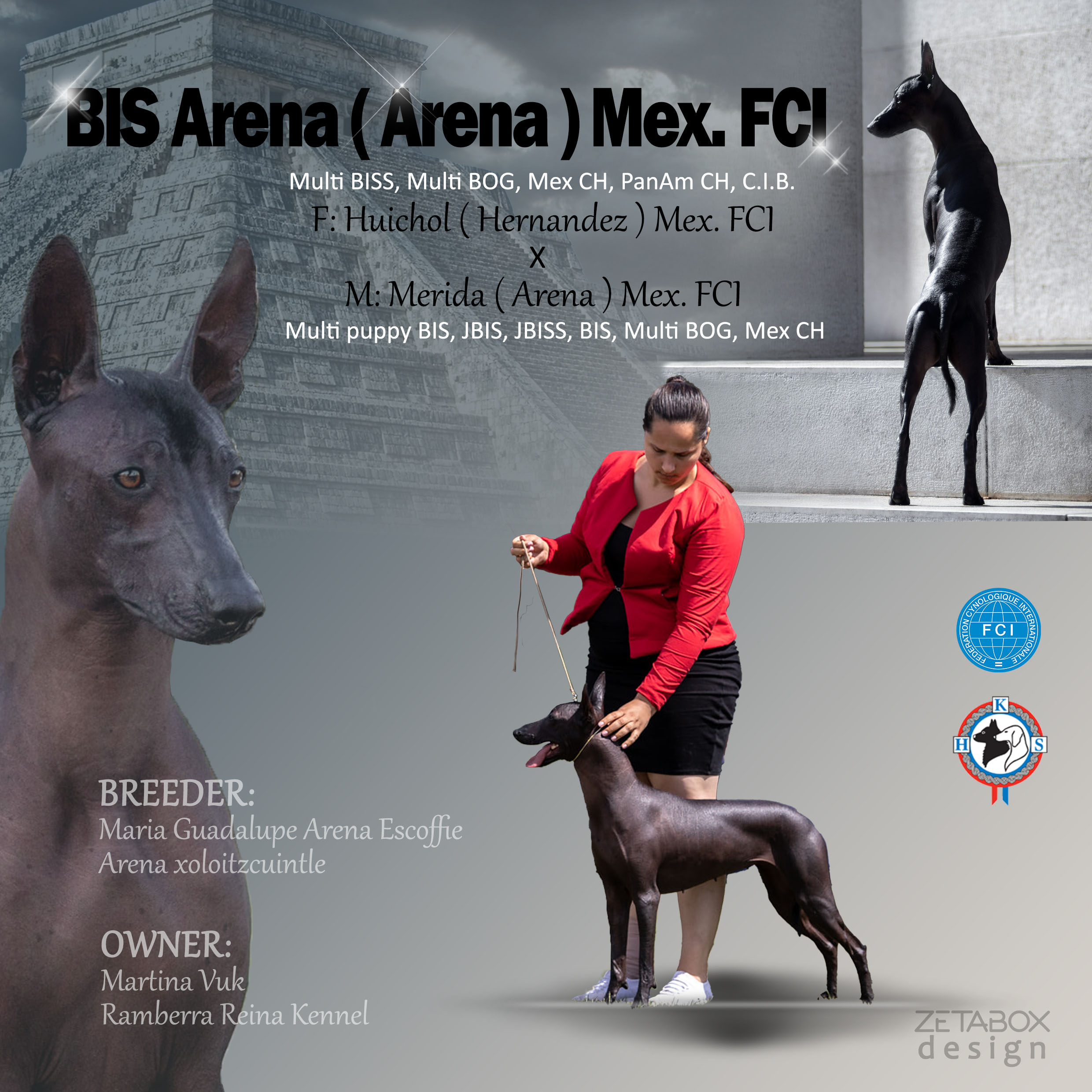 BIS Arena (Arena) Mex. FCI flajer sive boje sa psom i djevojkom u crvenom sakou