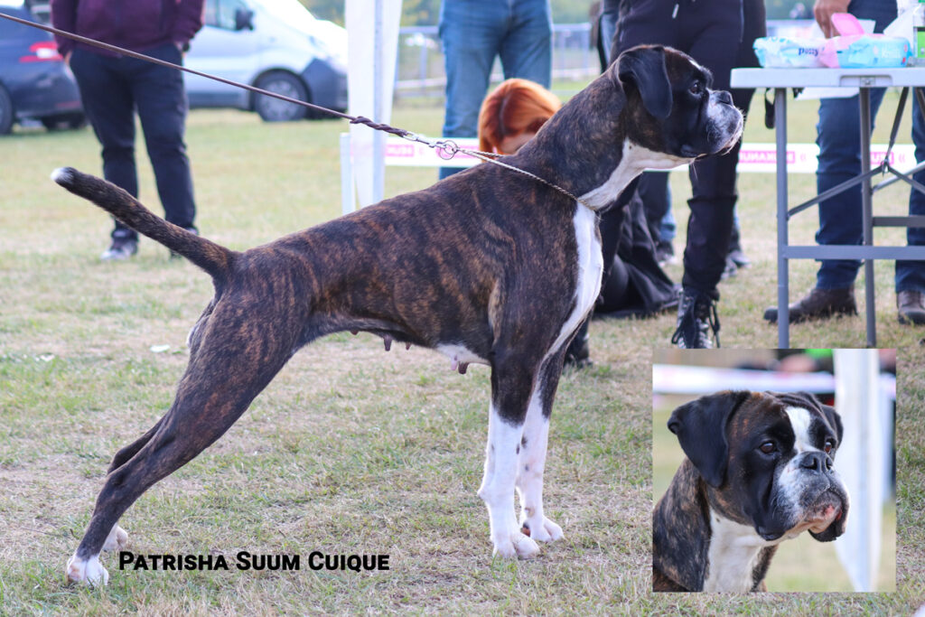 Patrisha Suum Cuique