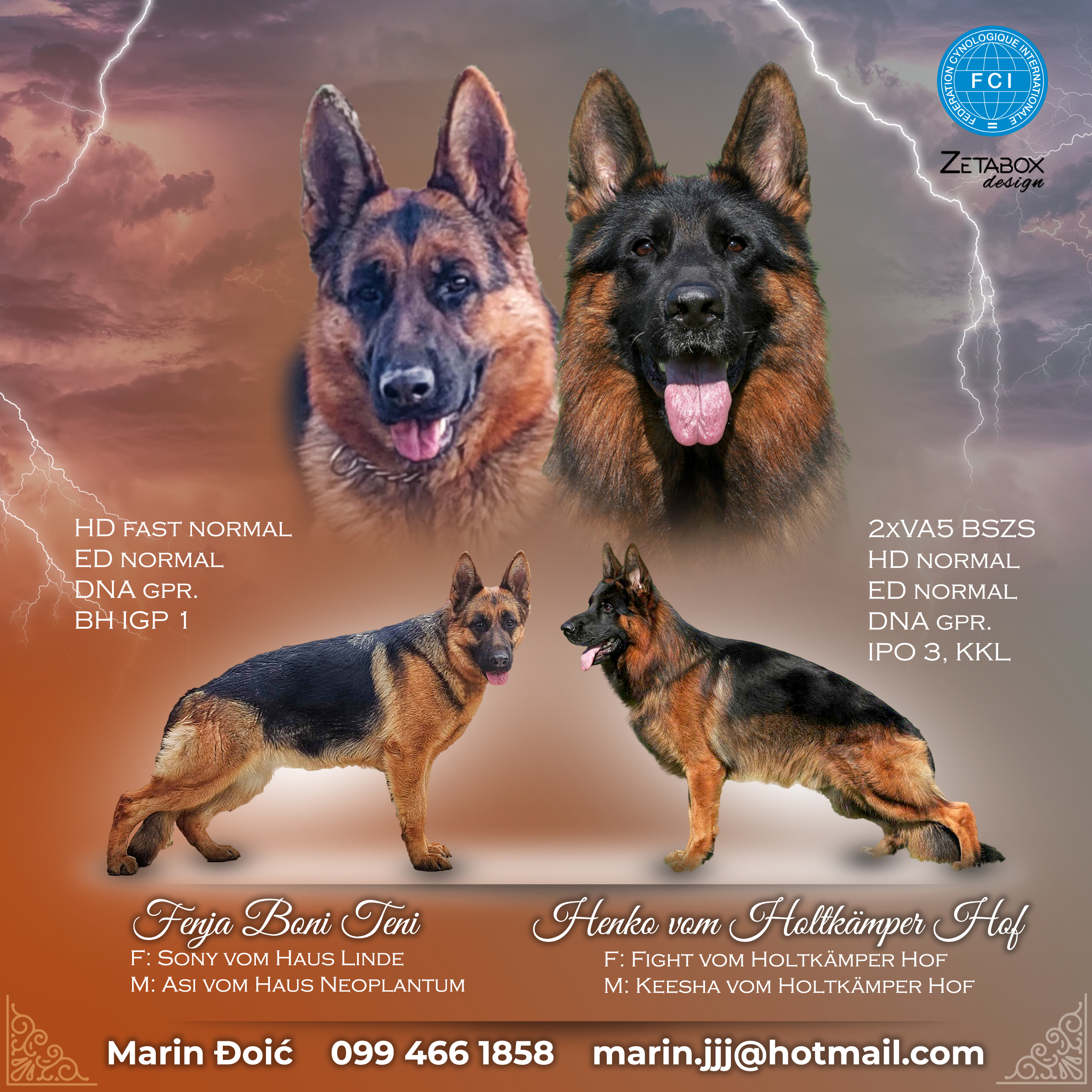 Marin Đoić njem. ovčar