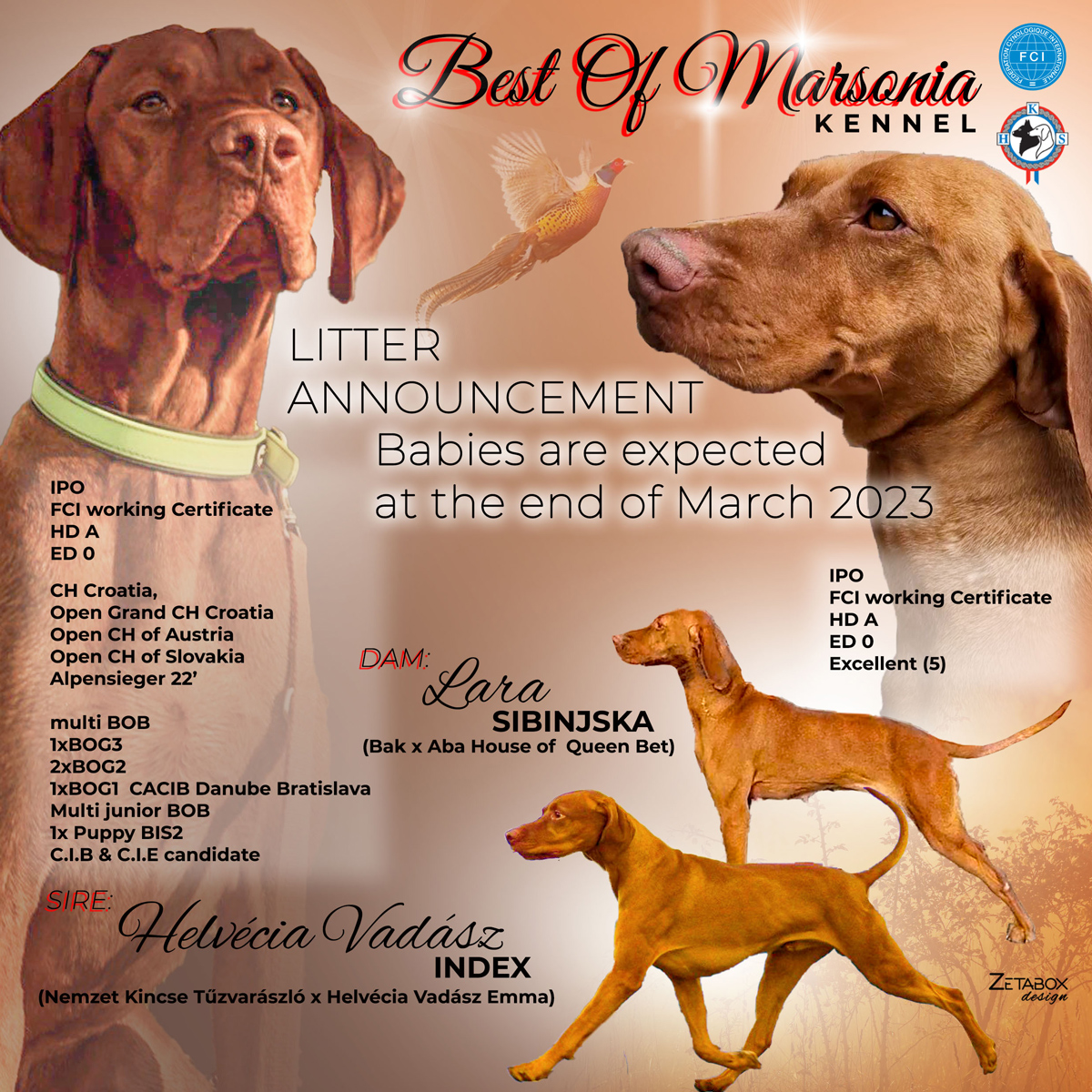 Best-of-Marsonia-web