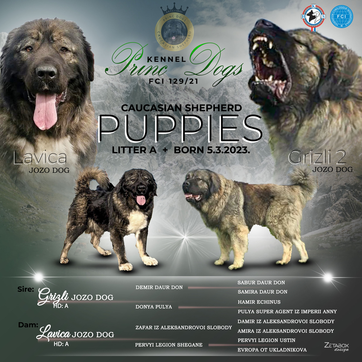 Princ-Dogs-kennel-web