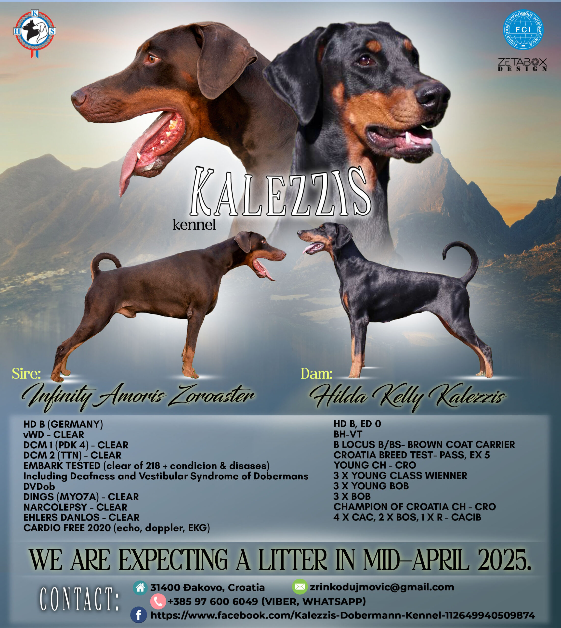 Infinity i Hilda najava legla 03.03.2025.