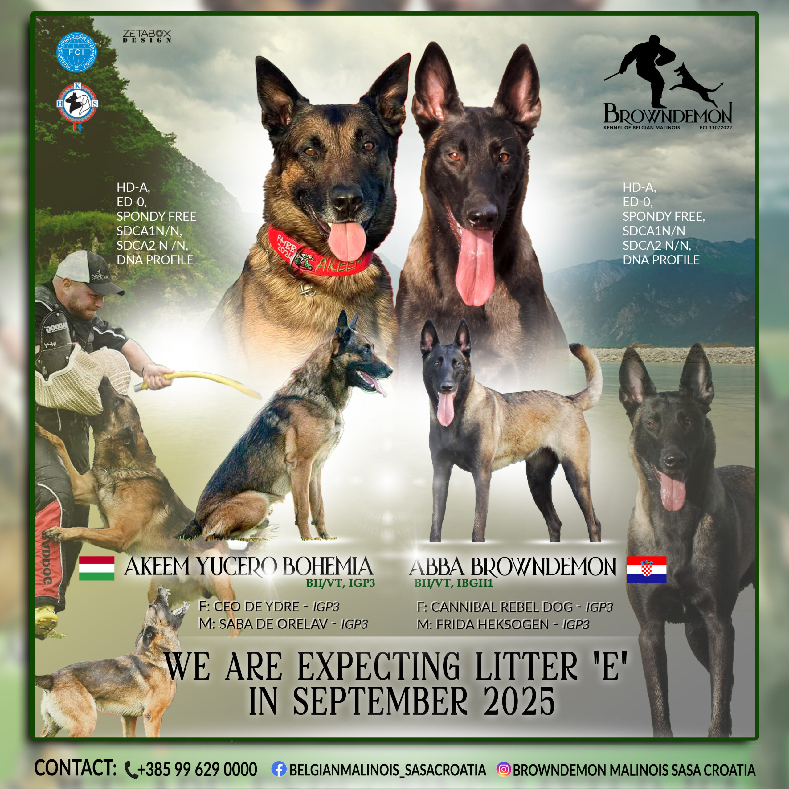 Akeem i Abba najava legla - 2