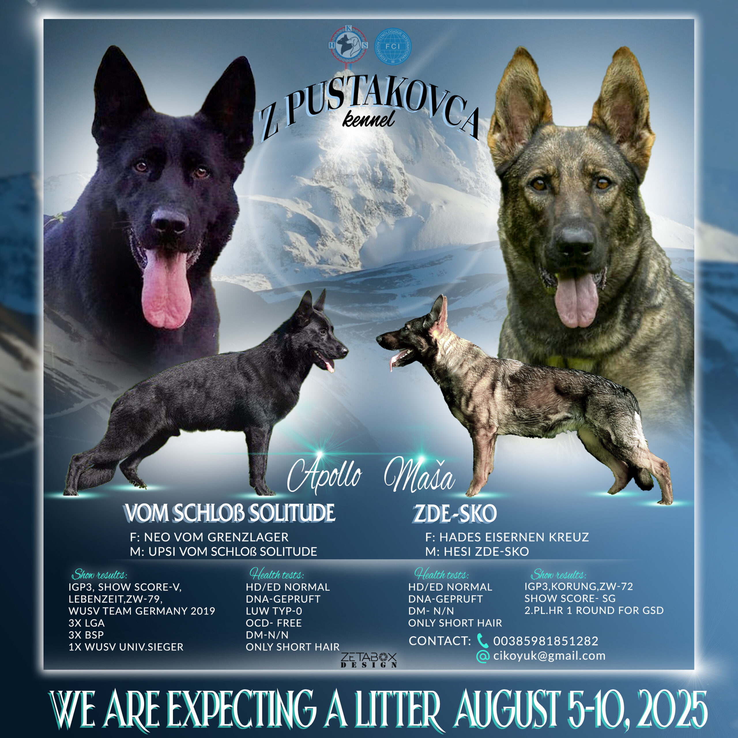 Apollo i Maša najava legla 2