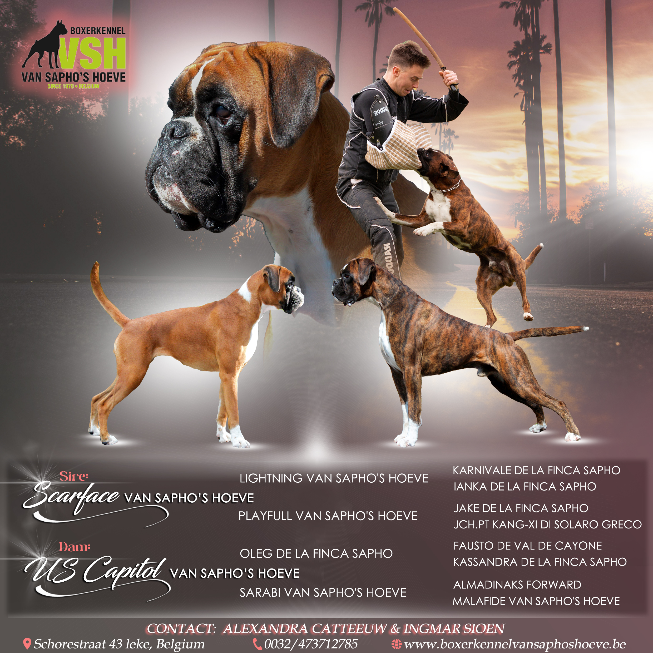 Scarface i US Capitol najava legla